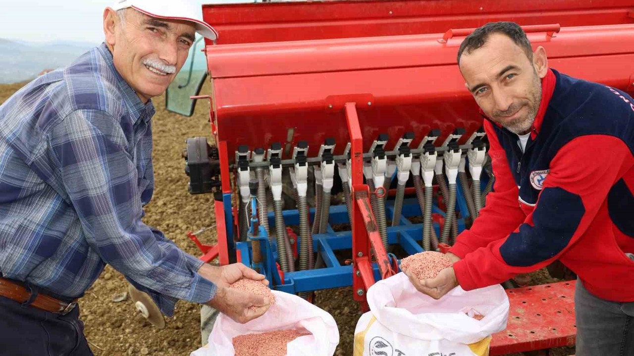 Kocaeli’de çiftçilere yüzde 75 hibeli tohum desteği
