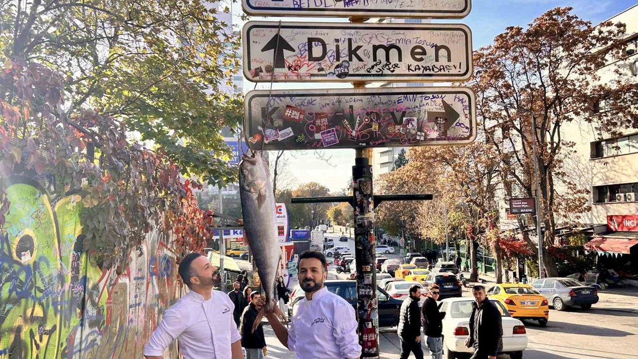 Ankara’nın meşhur tabelasına balık hasadı
