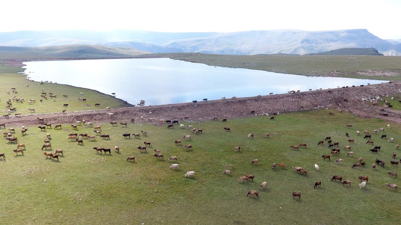 Gölet yapımında Türkiye’ye örnek olan şehir: Erzurum
