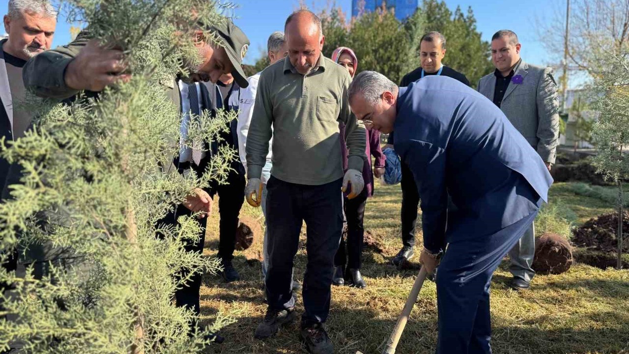 Diyarbakır’da Dünya Prematüre Günü etkinliği
