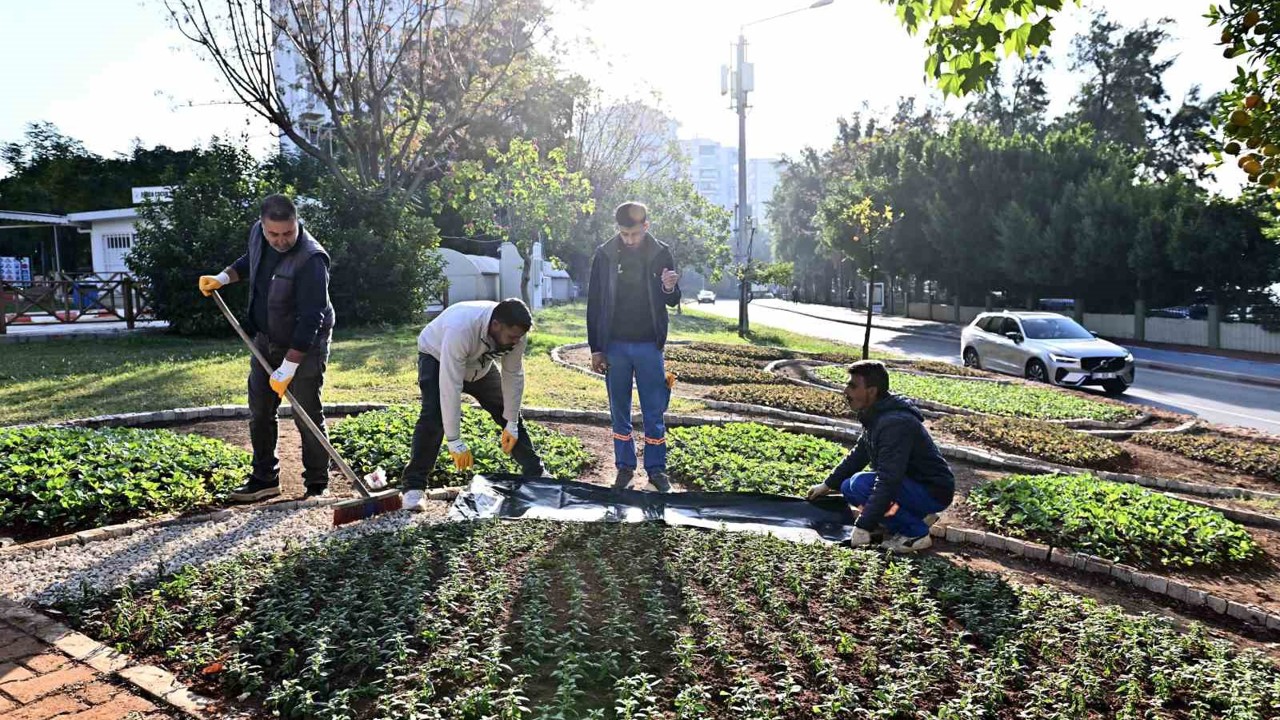 Muratpaşa’da Trafik Parkı çiçek bahçesine dönüştü
