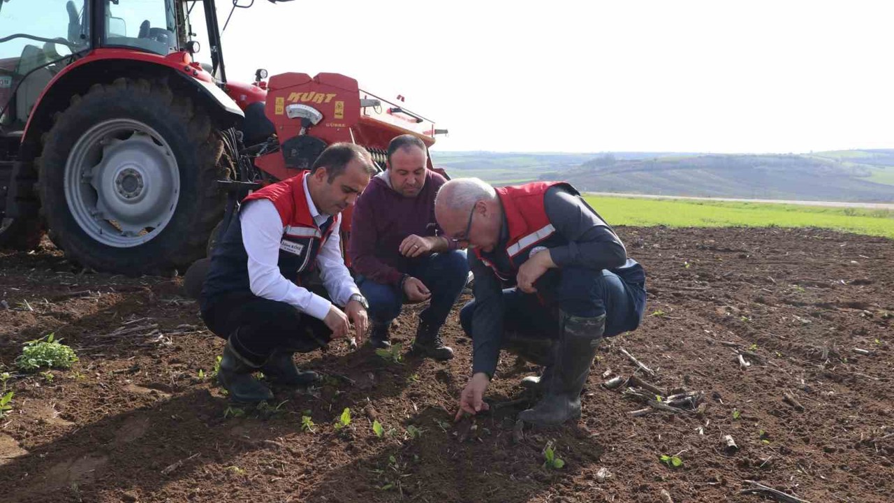 Deneme sahasından elde edilecek veriler bölge tarımına yön verecek

