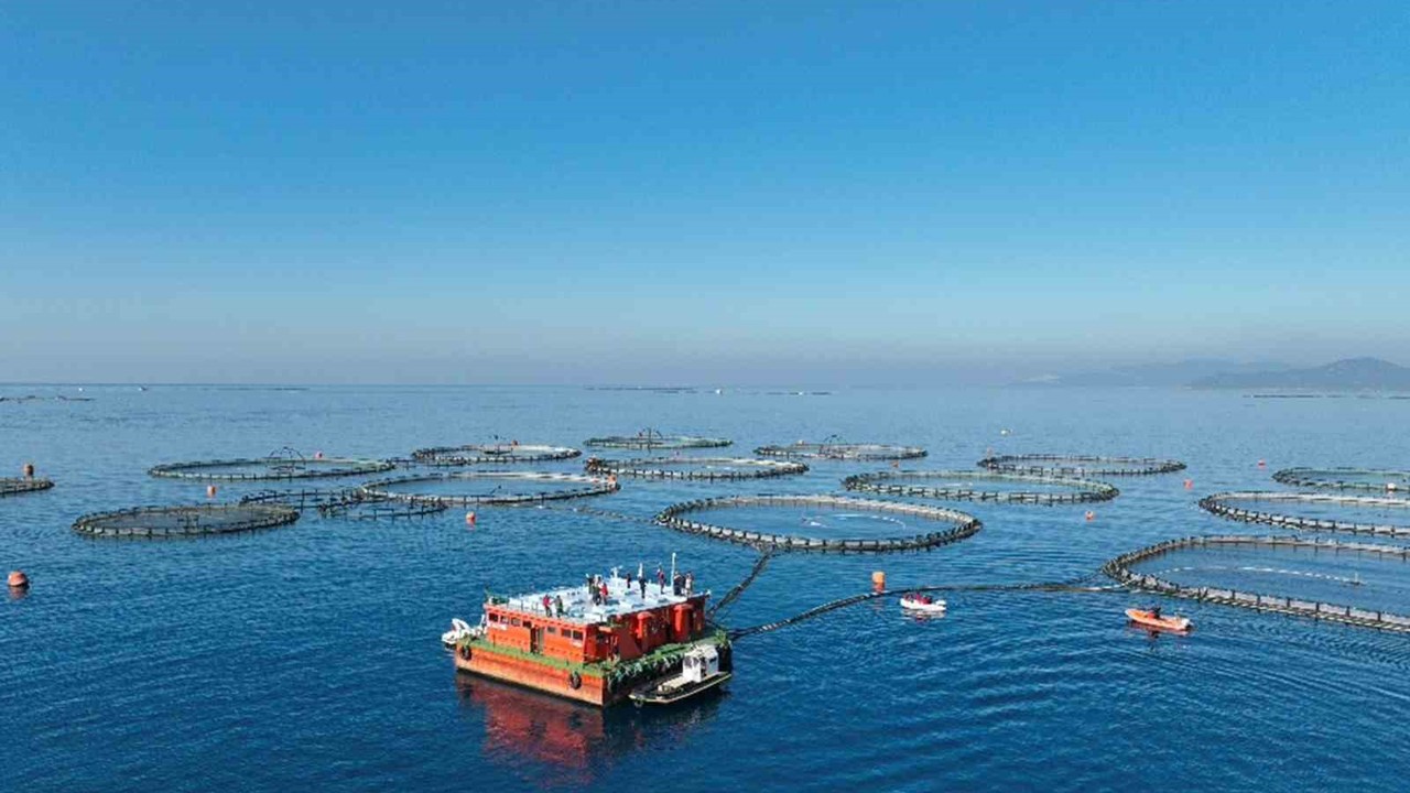 Aydın’da su ürünleri destekleme başvuruları başladı
