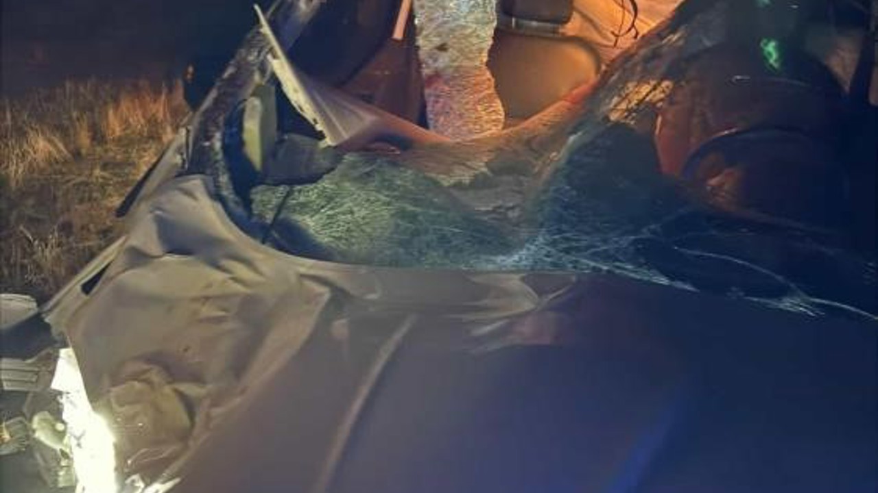 Muş’ta hafif ticari araç ata çarptı: 2 yaralı
