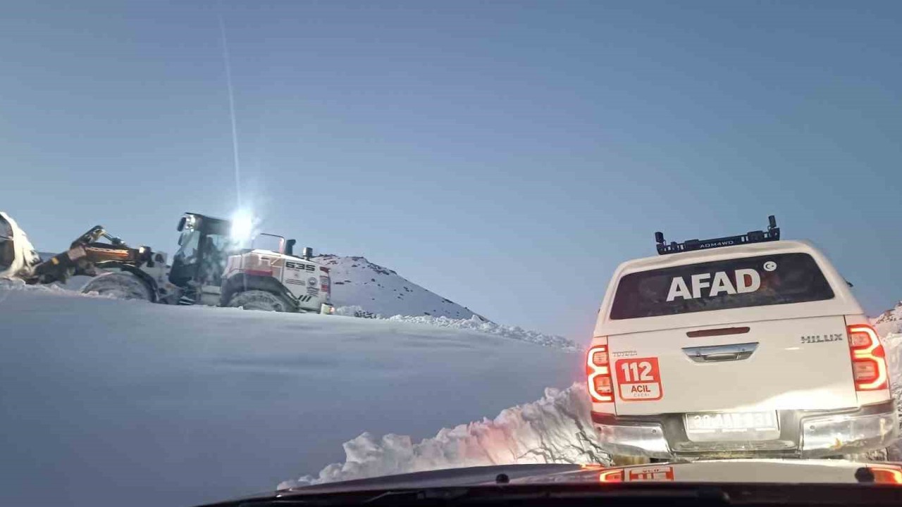 Hakkari’de 3 günlük kurtarma operasyonunda mutlu son: Binmizit yaylasındaki hayvanlar kurtarıldı

