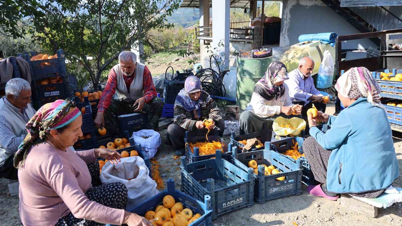 Adana’nın hurmalı köyü, açık fabrikaya dönüştü
