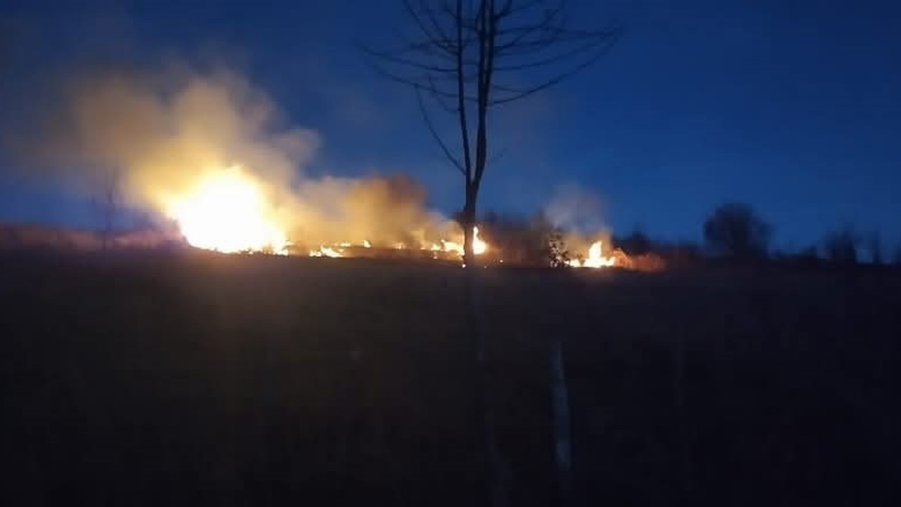 Ordu’da fındık bahçesinde yangın
