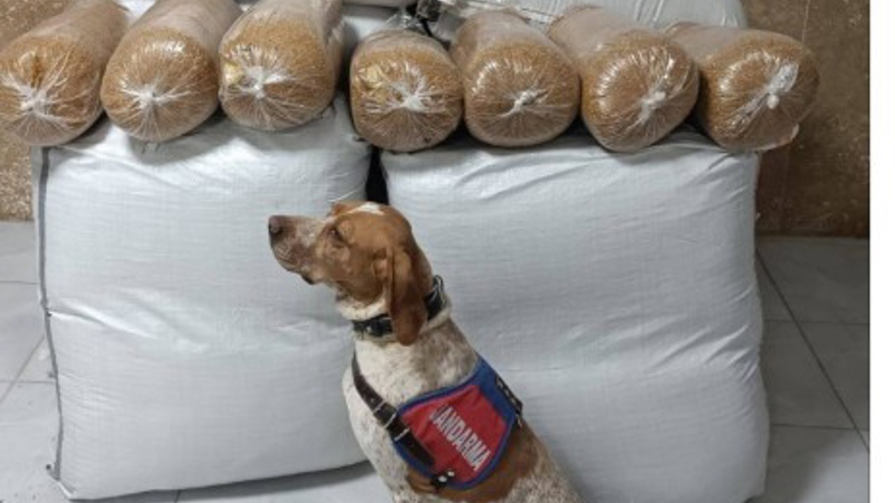 Kırşehir’de yolcu otobüsünde 400 kilogram kaçak tütün ele geçirildi
