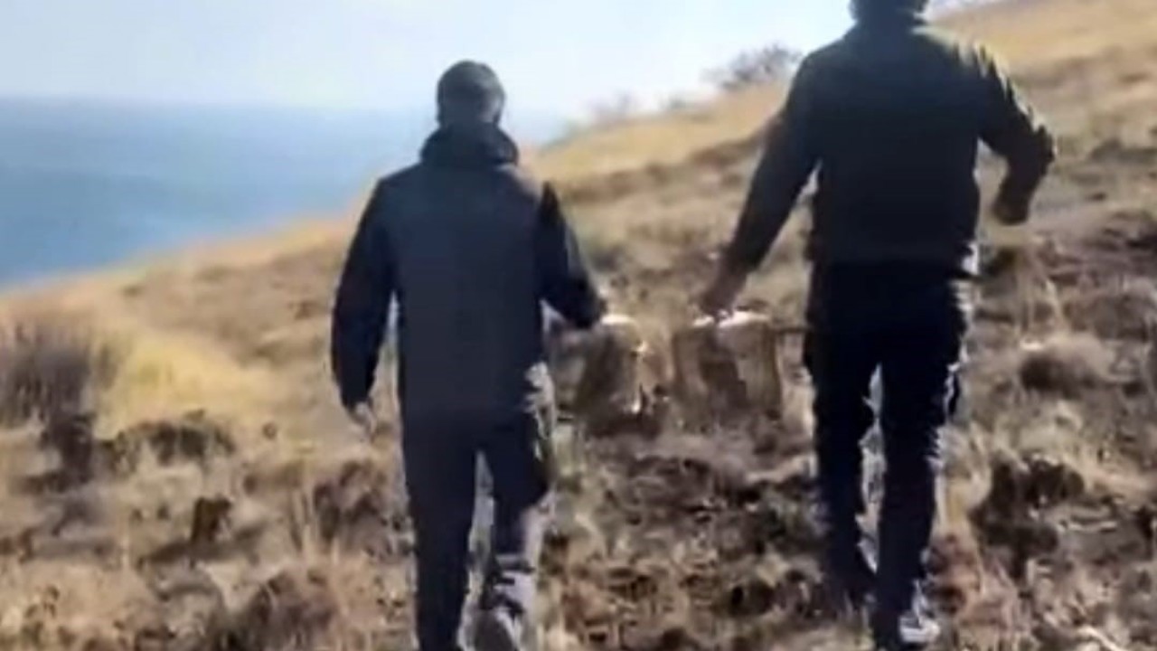 Rehabilite edilen keklikler yeniden doğayla buluştu
