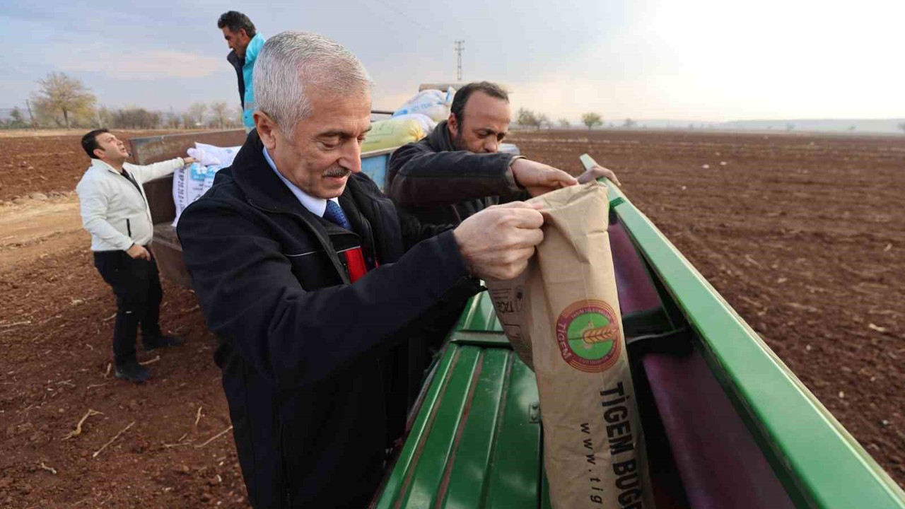 Tahmazoğlu dağıttığı tohumları çiftçilerle ekti
