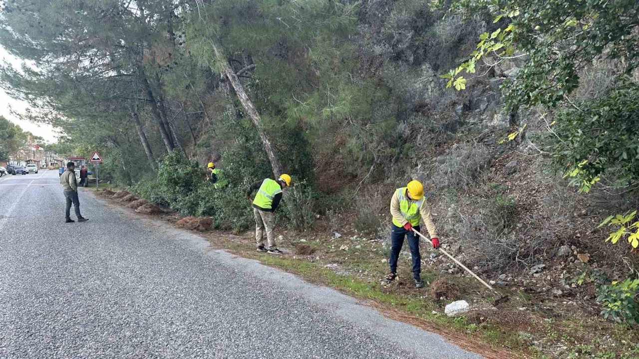 Milli Park’ta risk azaltma çalışmaları sürüyor
