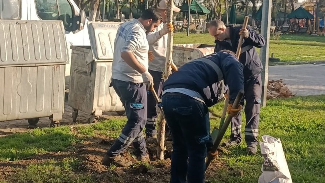 Yunusemre’de ağaçlandırma çalışmaları sürüyor
