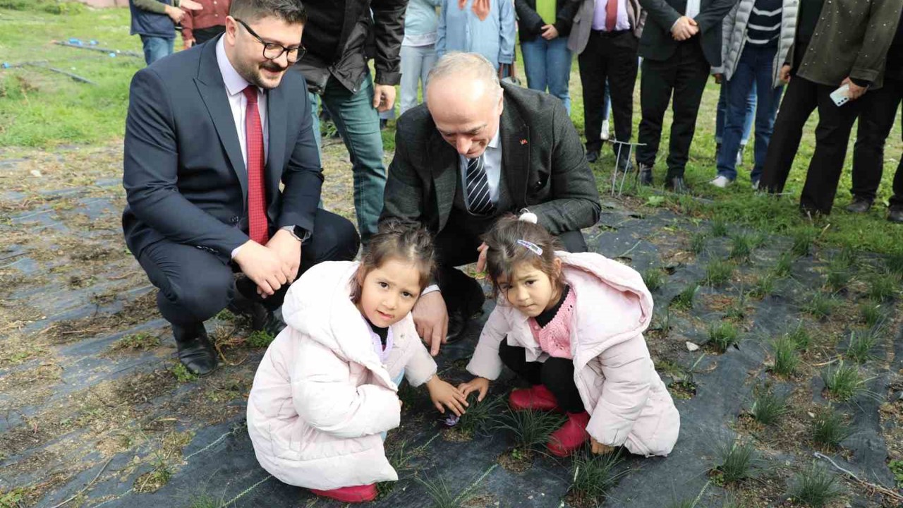 Eskişehir safran üretiminde birincilik yolunda
