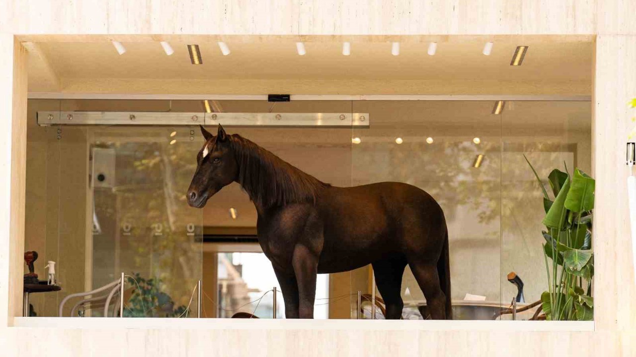 Espressolab, Jurassic Park teknolojisini şehirle buluşturdu
