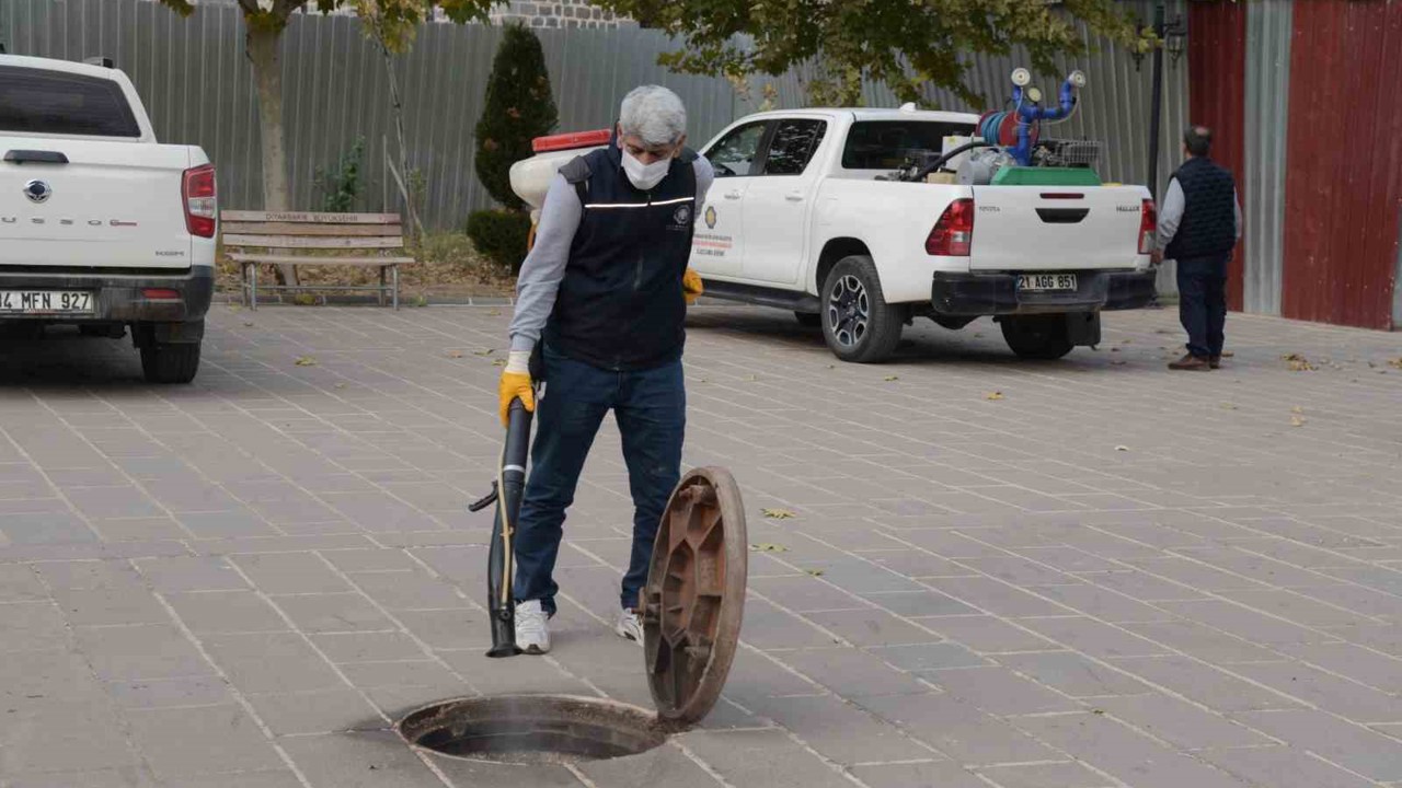 Diyarbakır’da haşerelere karşı kışlak ilaçlamanın startı verildi
