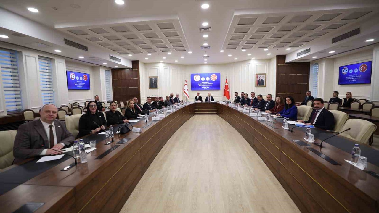 KKTC ile ortak çalışma komisyonu
