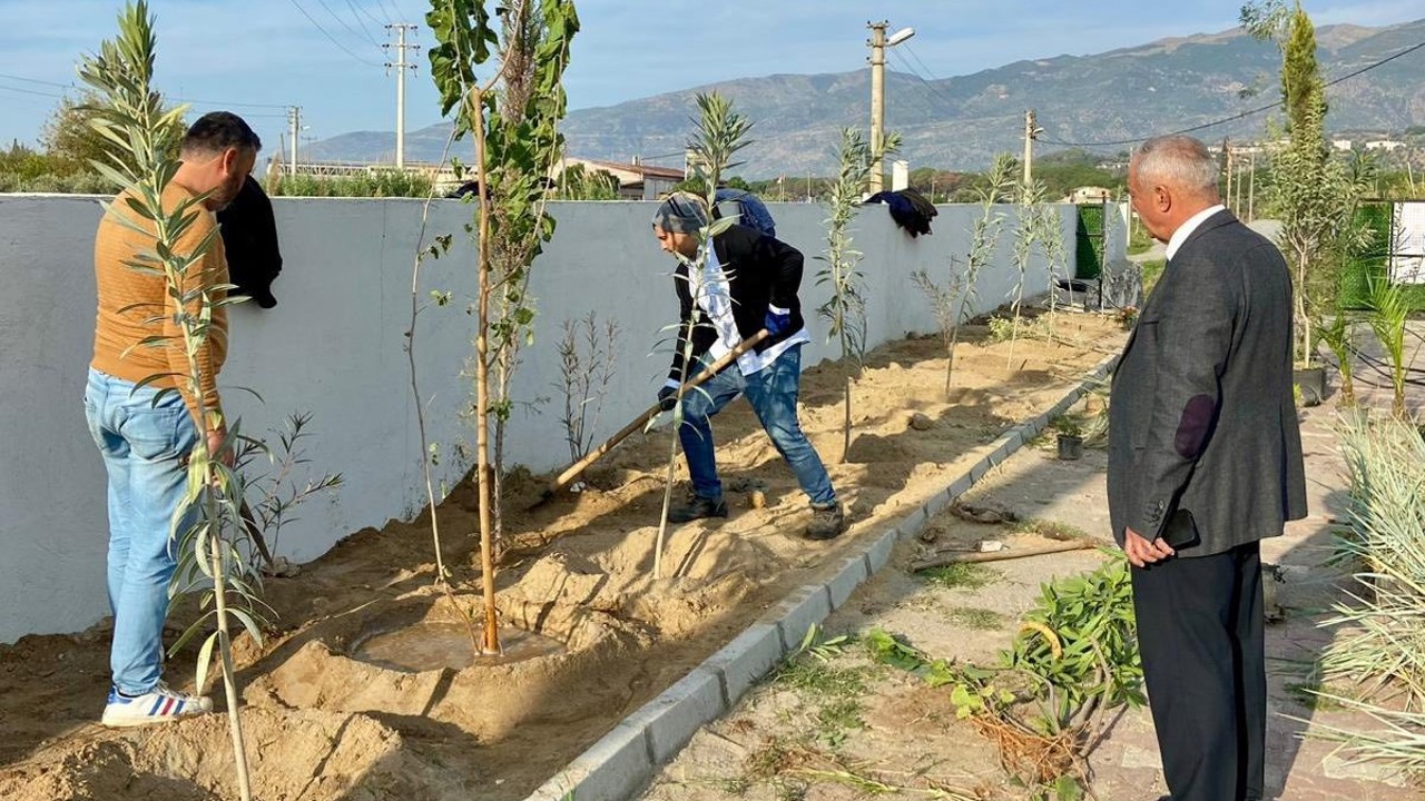 Sultanhisar’da can dostları için yeşil dokunuş
