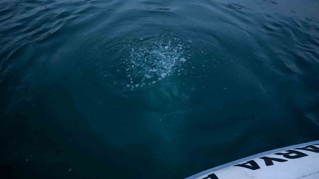 Sapanca Gölü’ndeki kabarcıkların verdiği endişe artıyor: "Herkes korkuyor, rahat uyuyamıyoruz"
