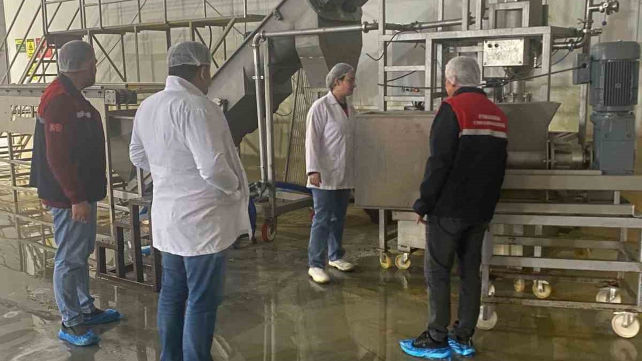 Hayvansal yem üreten işletmeye yönelik denetim
