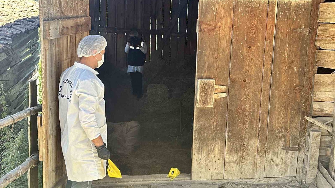 Samanlıkta işlenen cinayetle ilgili yargılama devam etti
