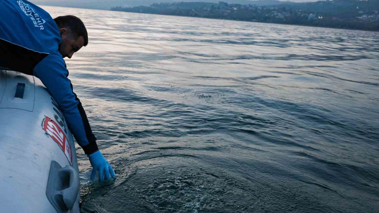 Sapanca Gölü’ndeki kabarcıkların sebebi belli oldu: Yeraltından doğal hava çıkışı
