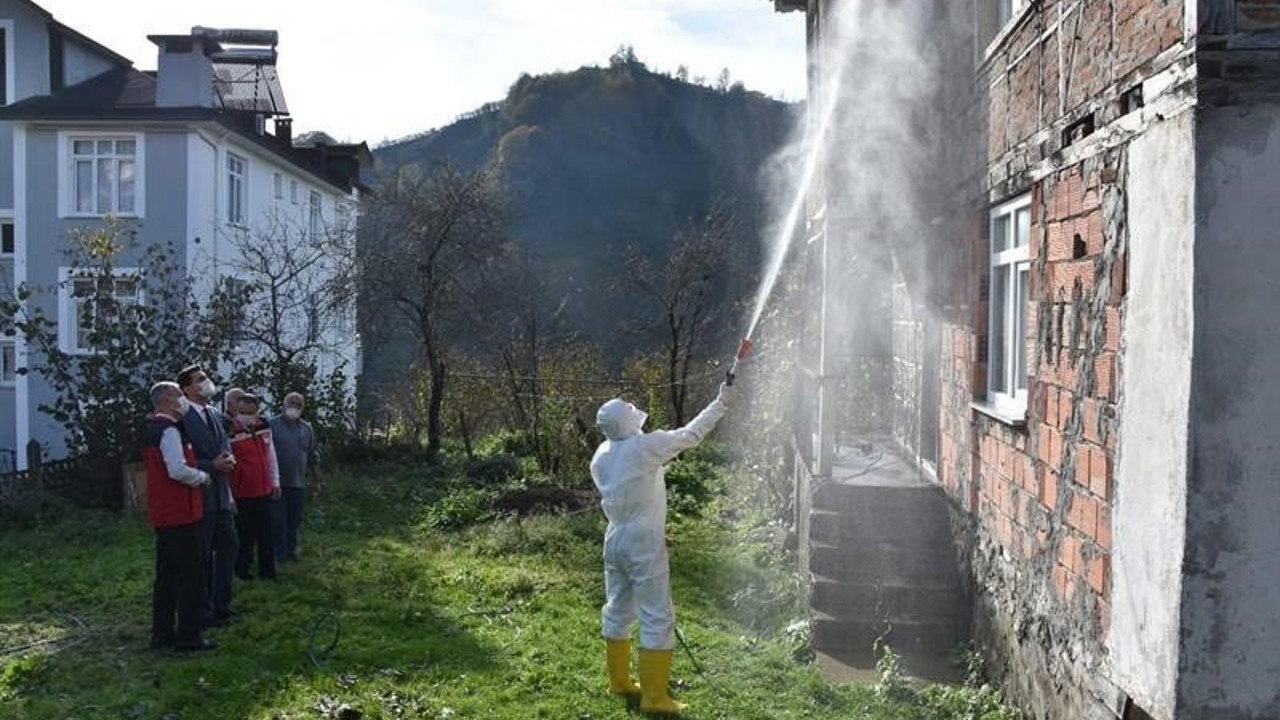 Ordu’da kokarcaya karşı 330 bin kışlak ilaçlanacak
