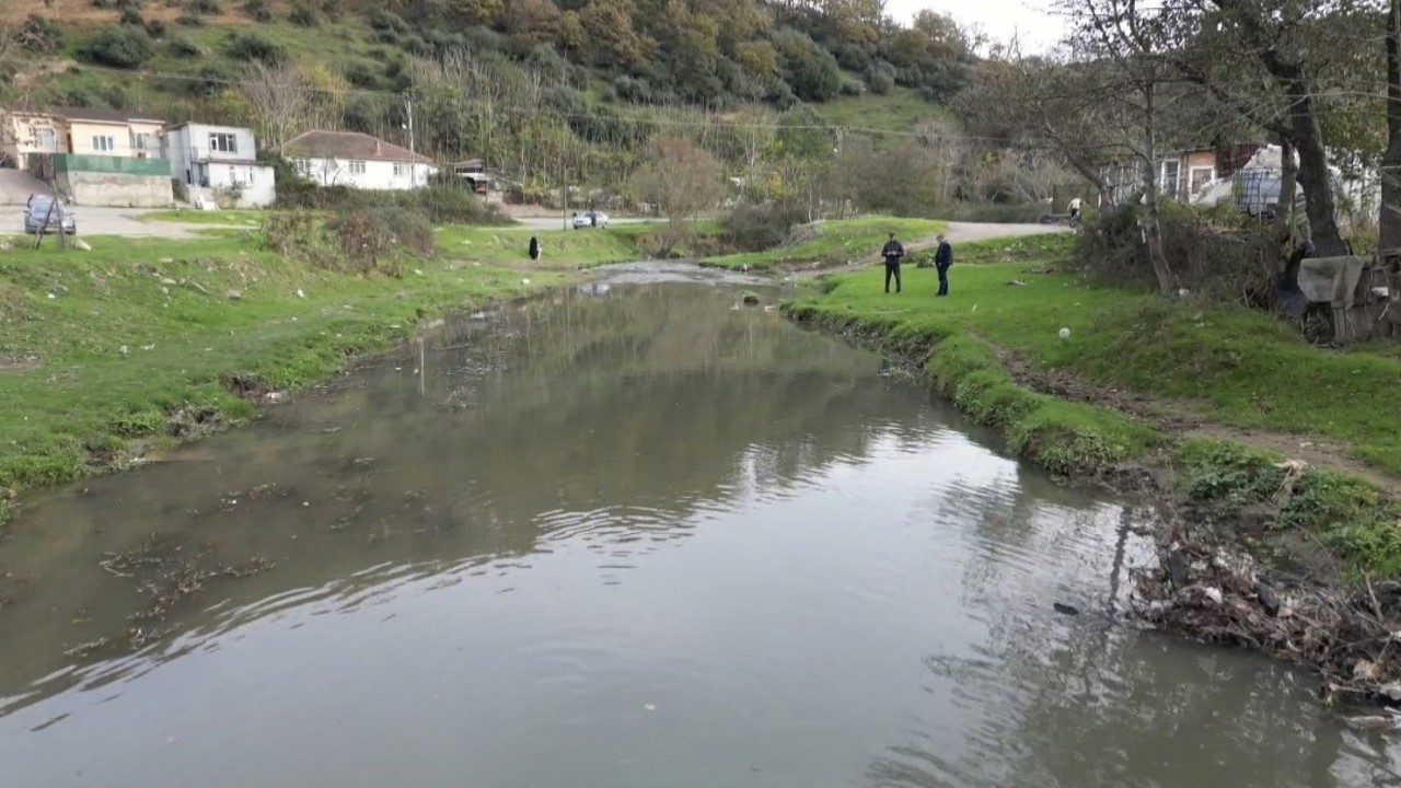 Eyüpsultan’daki gölde balık ölümleri yaşandı
