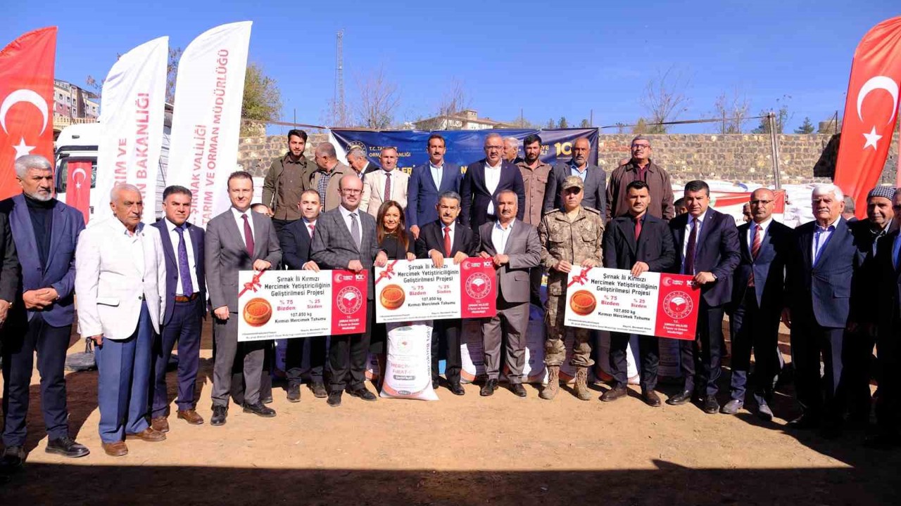 İdil’de 107 ton kırmızı mercimek tohumu dağıtıldı
