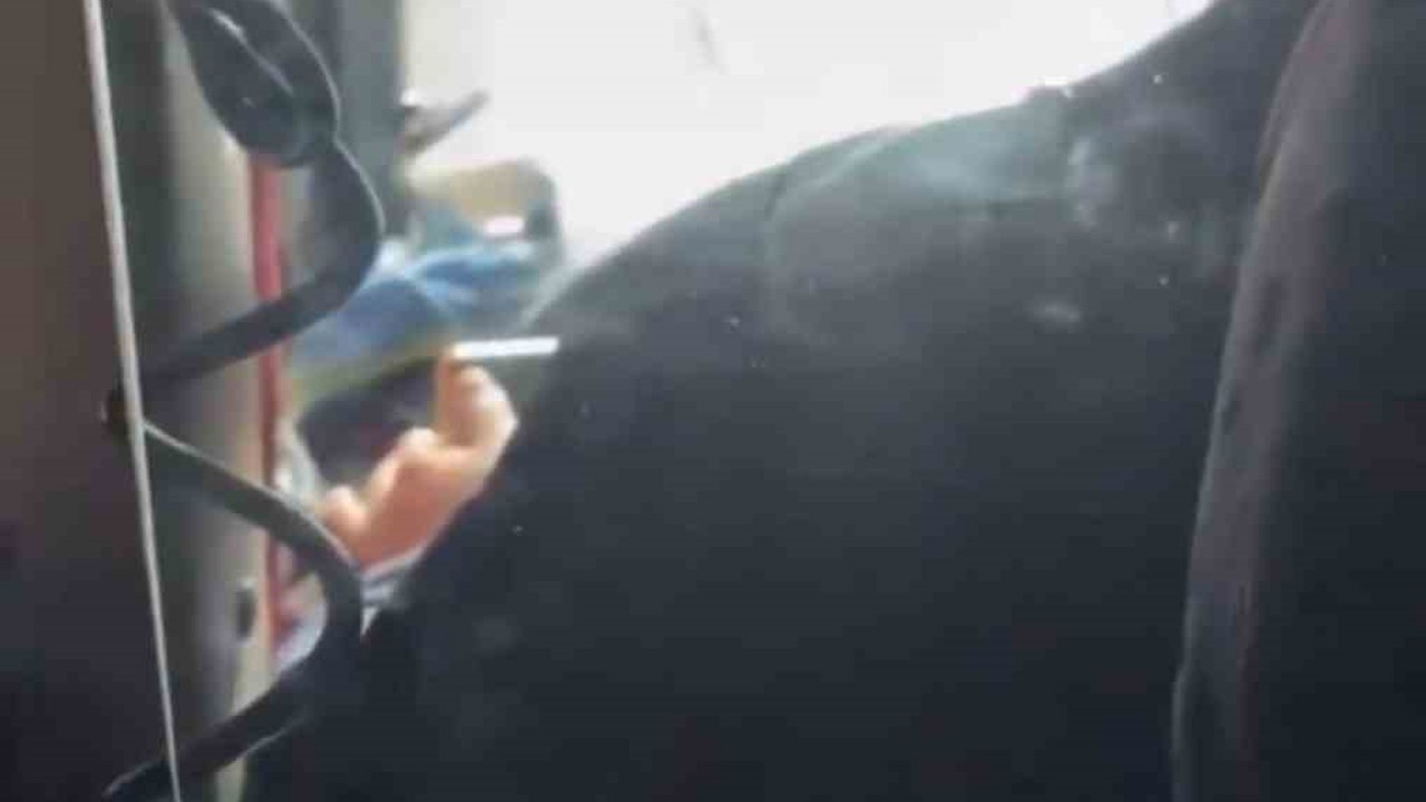 Gaziantep’te otobüs şoförü direksiyon başında video izlerken görüntülendi
