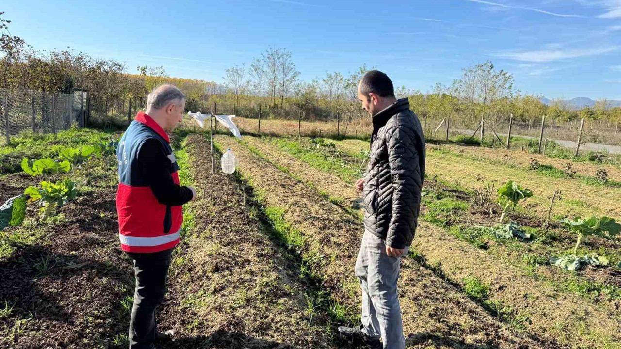 Çarşamba Ovası’nın yeni gözdesi: Salep
