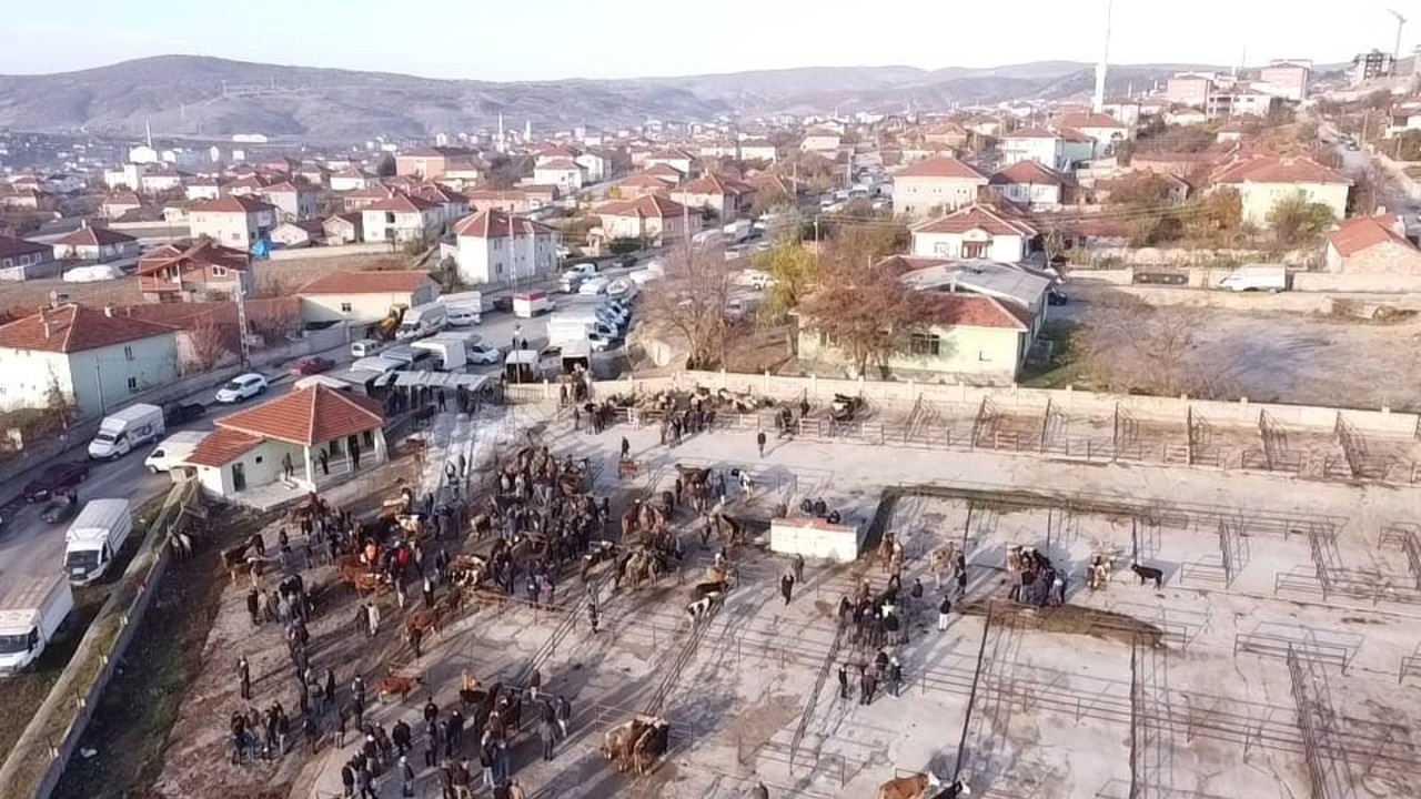 Yozgat’ta 2 aydır kapalı olan hayvan pazarı açıldı

