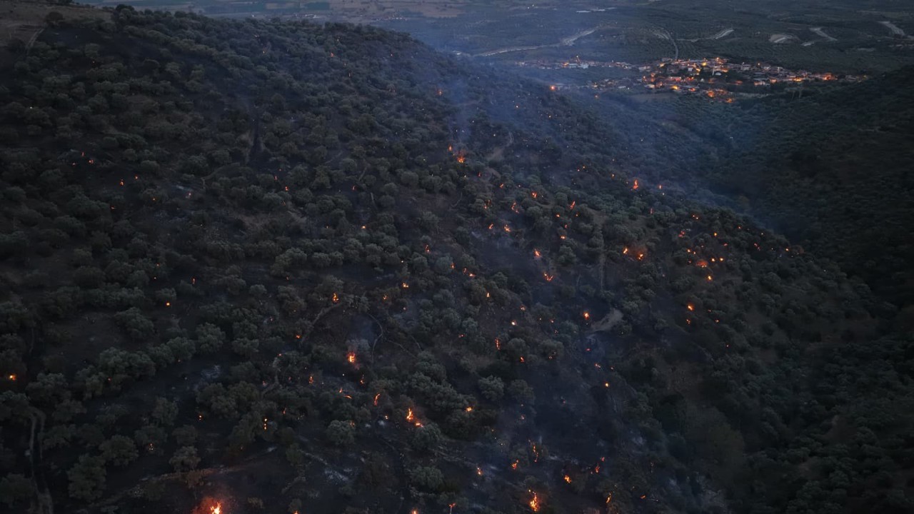 Bozdoğan yangını büyük ölçüde kontrol altına alındı

