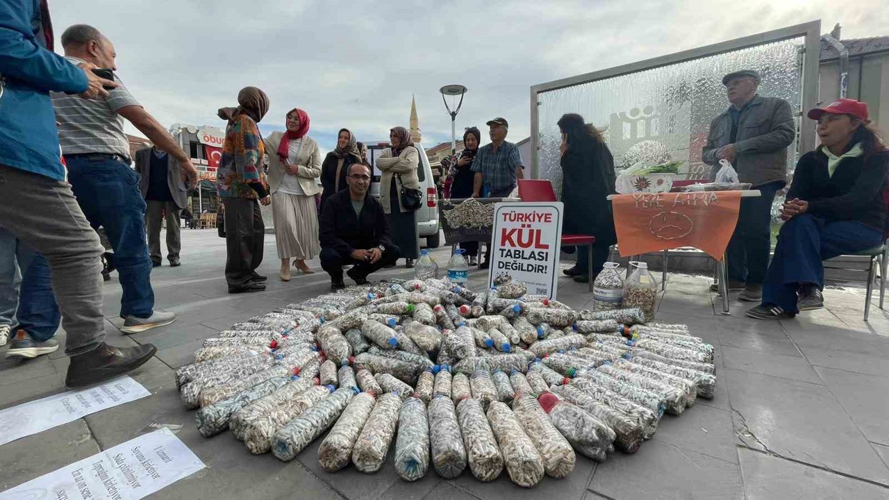 Akademisyen ve gönüllüler 2 ayda 100 bin sigara izmariti topladı
