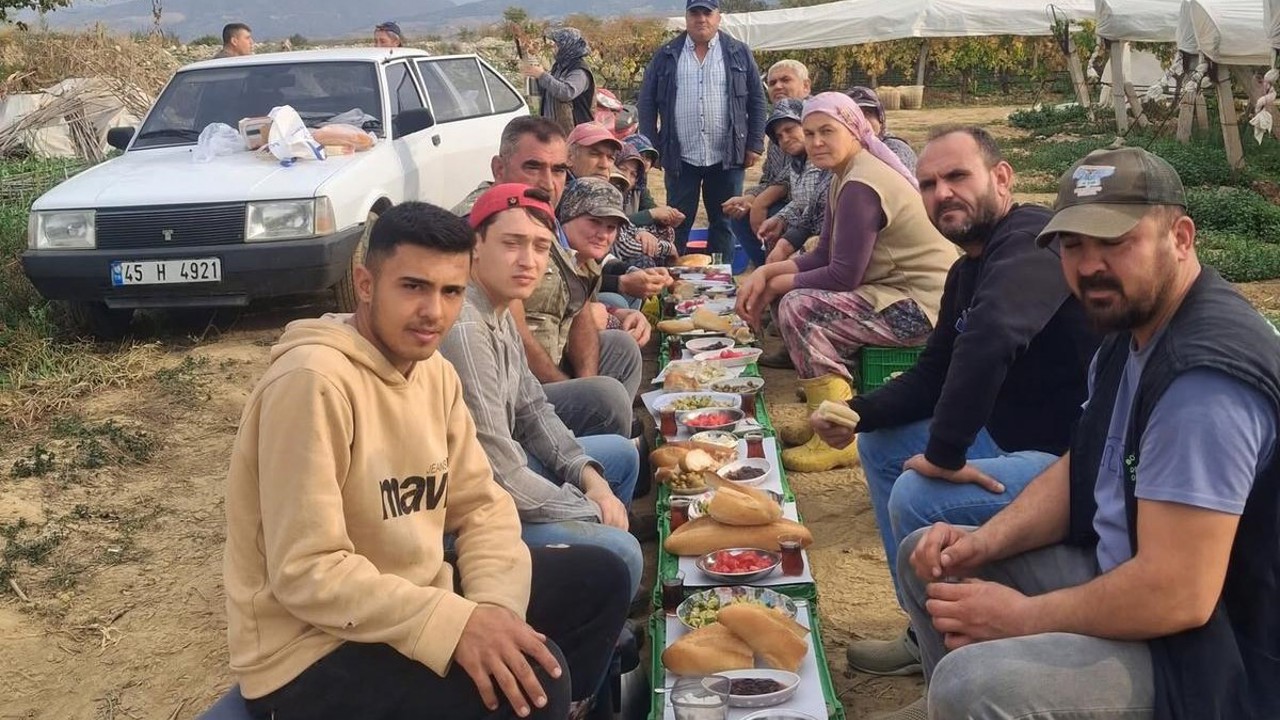 Üzüm alıcısından işçilere ziyafet
