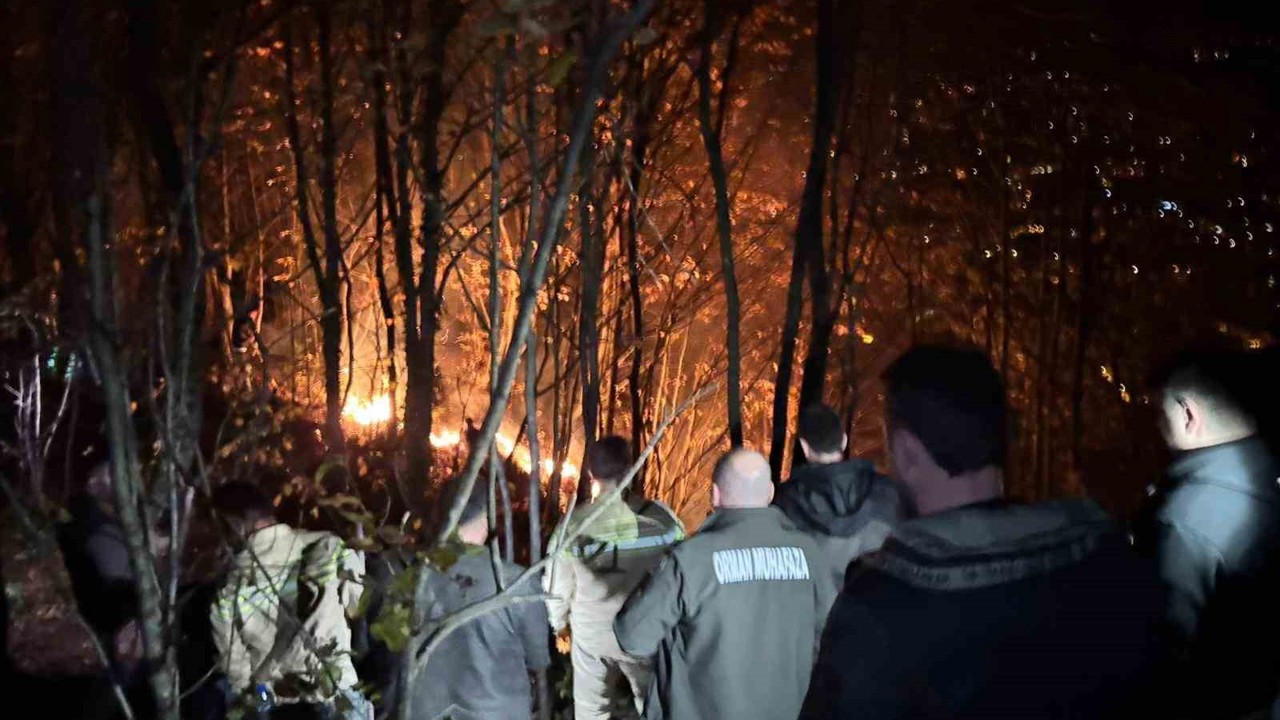 Ordu’da ormanlık alanda yangın
