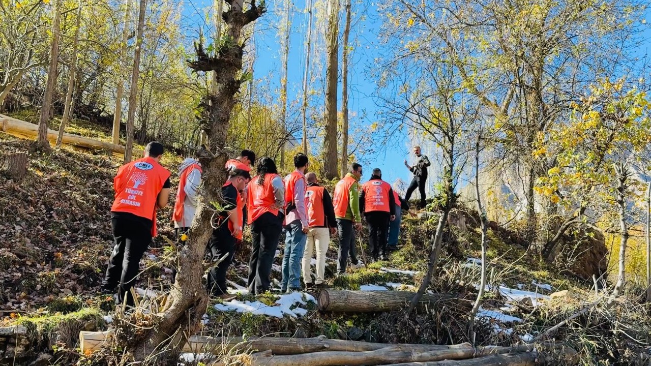 Yüksekova’da erozyonla mücadele için fidan dikme etkinliği
