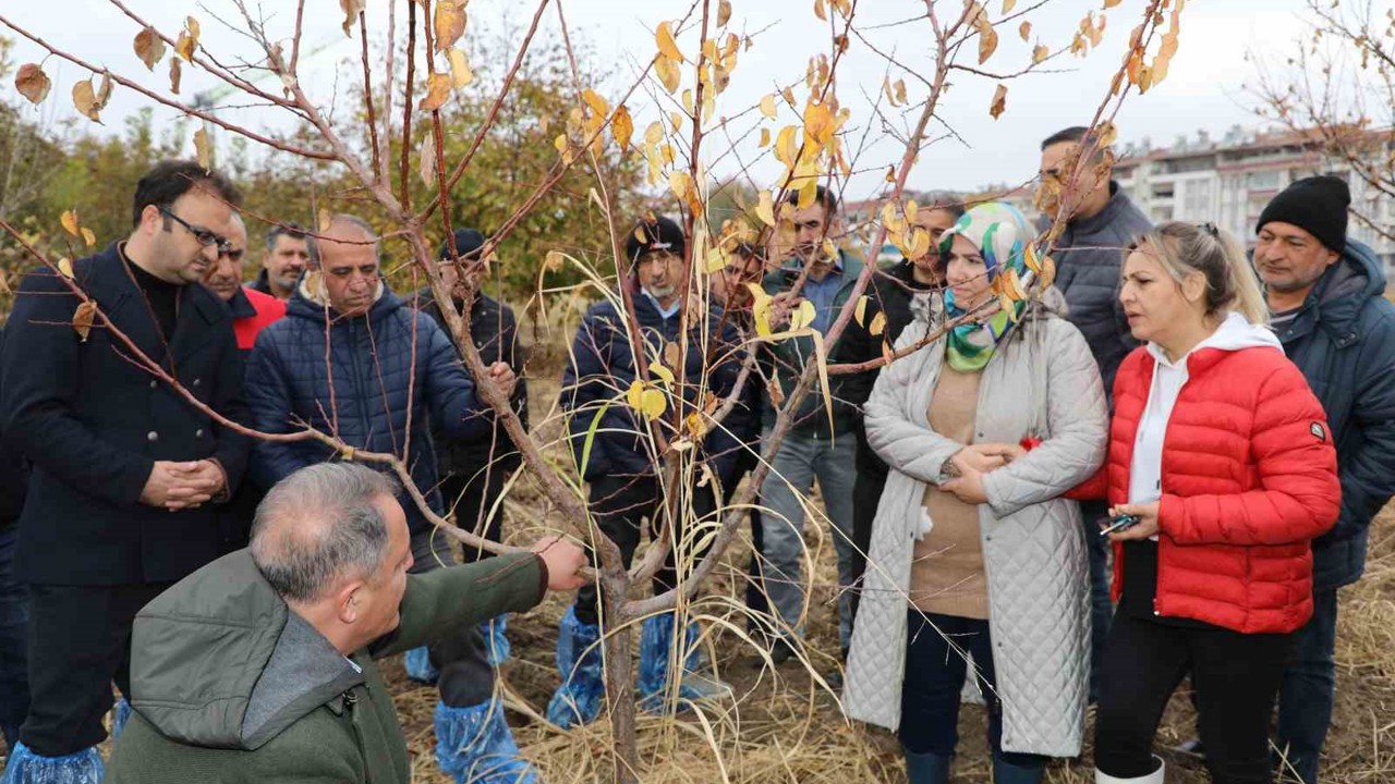 Elazığ’da ağaç budama ve aşılama eğitimi
