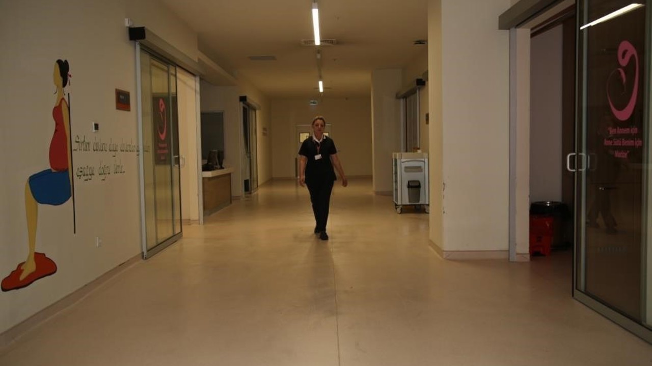 Erzurum’da sağlıkta "Misafir anne" uygulaması
