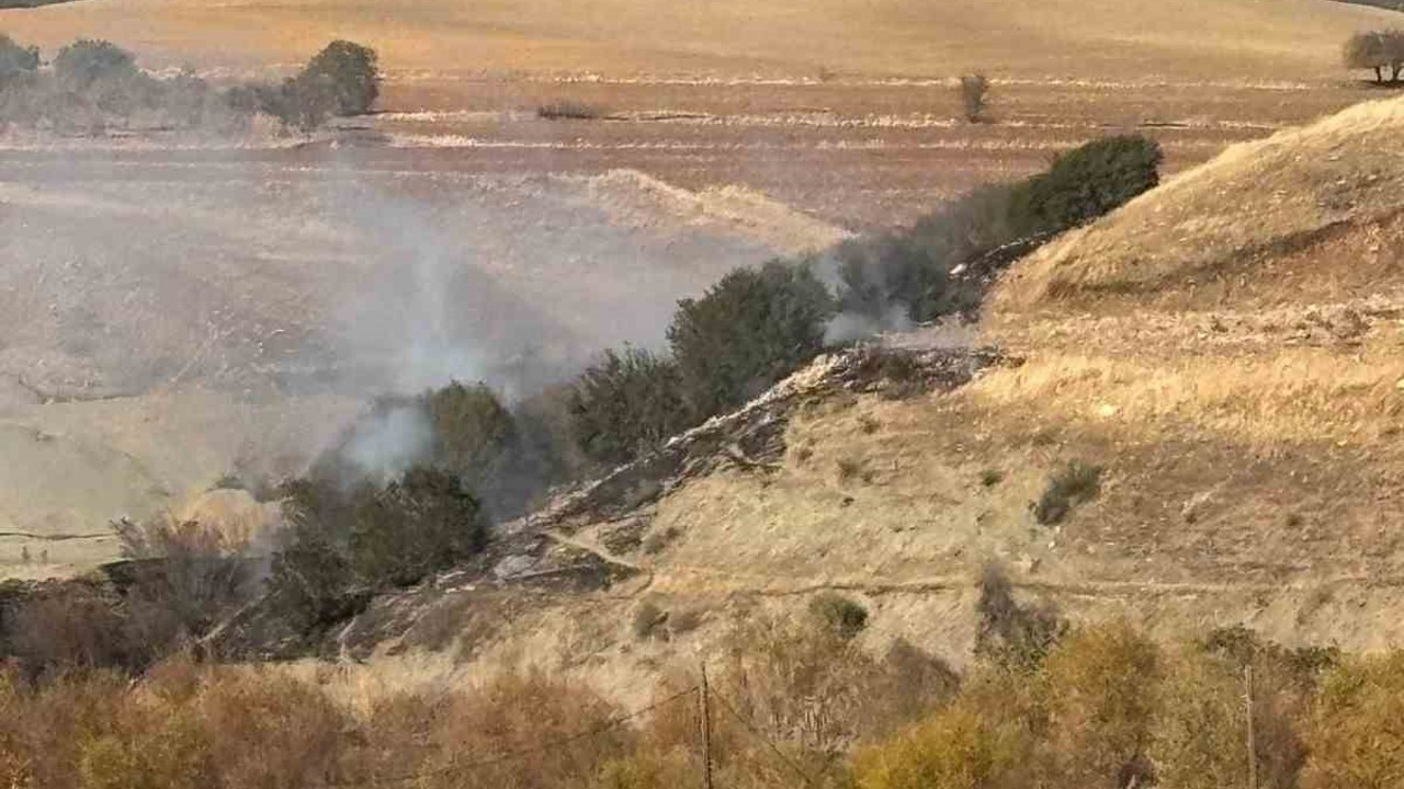 Ormanlık alanda korkutan yangın
