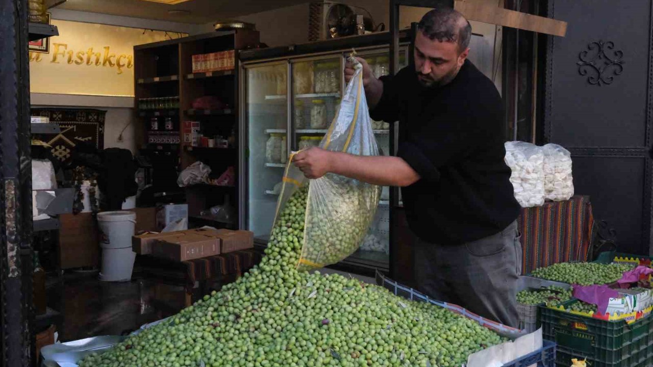 Gaziantep’te yeşil zeytin fiyatları sabit kaldı
