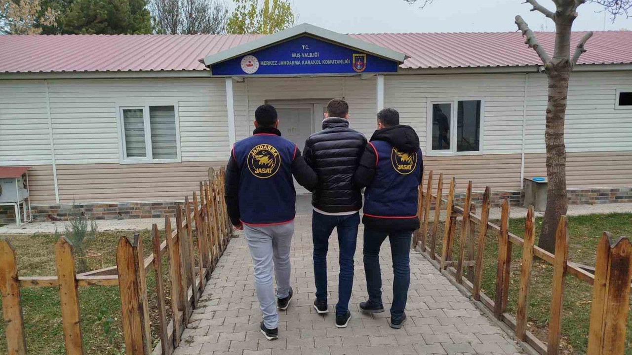 Muş’ta dolandırıcılık suçundan aranan hükümlü yakalandı
