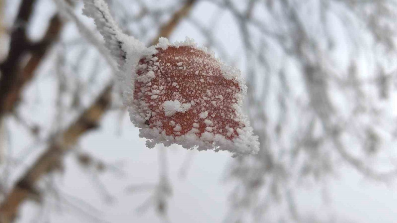 Hava sıcaklığının eksi 14,6 dereceye düştüğü Göle buz tuttu
