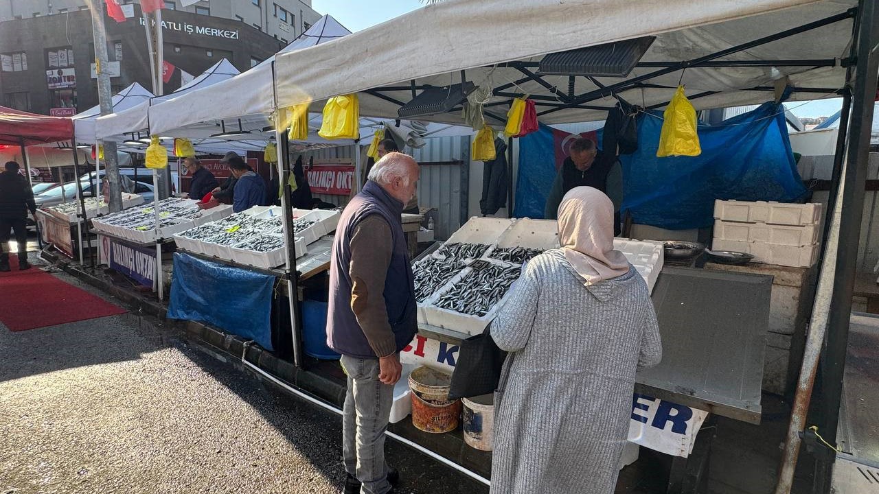 Zonguldak’ta tezgahtaki hamsi yerini diğer çeşit balıklara bırakıyor
