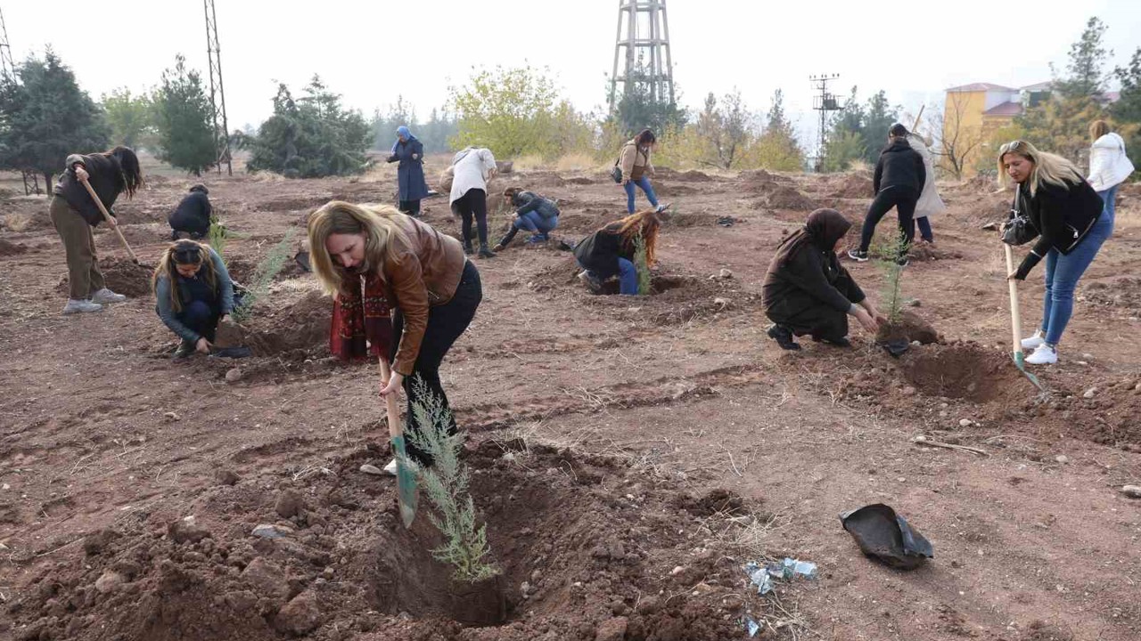 Kadına yönelik şiddete dikkat çekmek amacıyla fidan dikim etkinliği yapıldı
