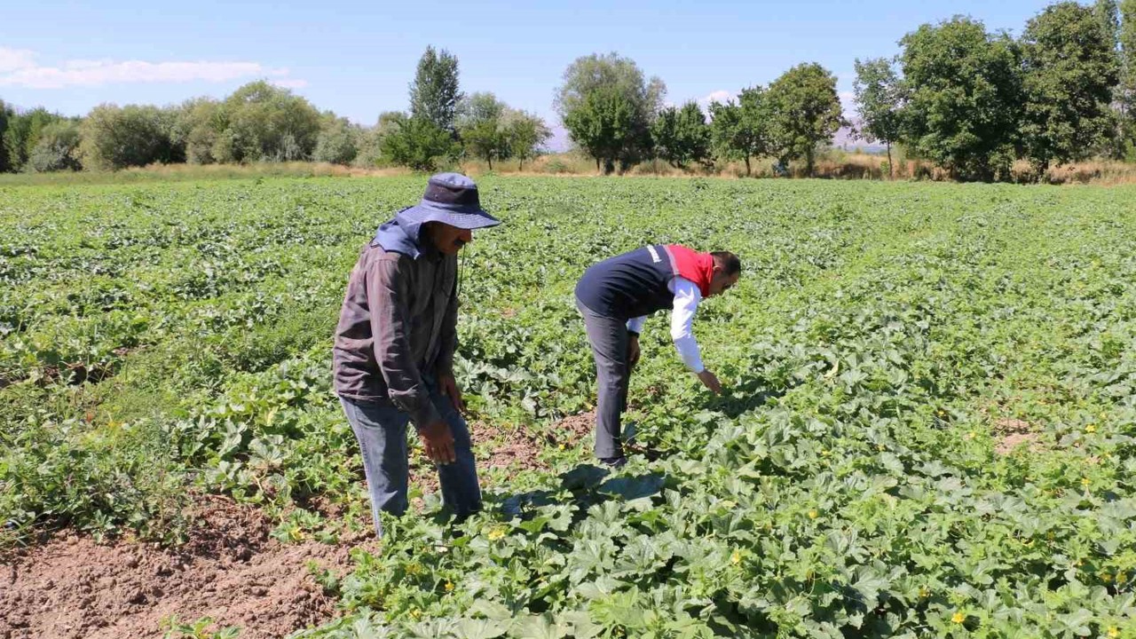 ÇKS başvuruları 31 Aralık’ta sona eriyor
