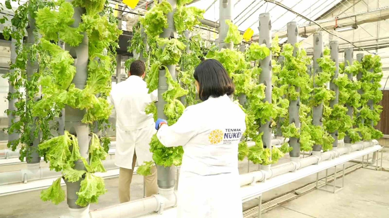 Gıda Güvenliğine ‘TENMAK’ dokunuşu
