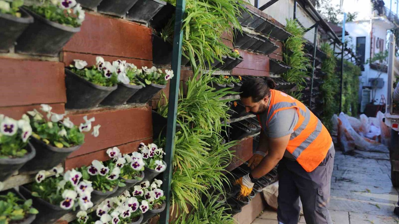 Antalya’da 4 milyon çiçek toprakla buluşuyor
