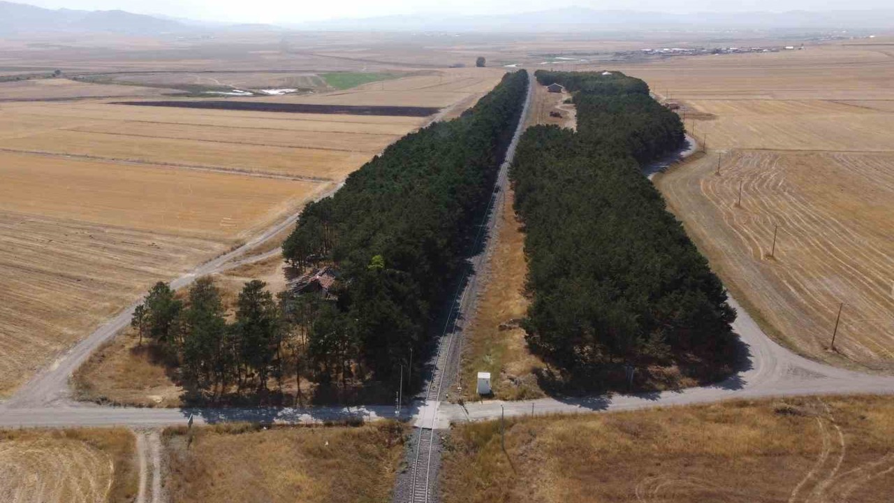 Kars’ta bozkırın ortasındaki vaha havadan görüntülendi
