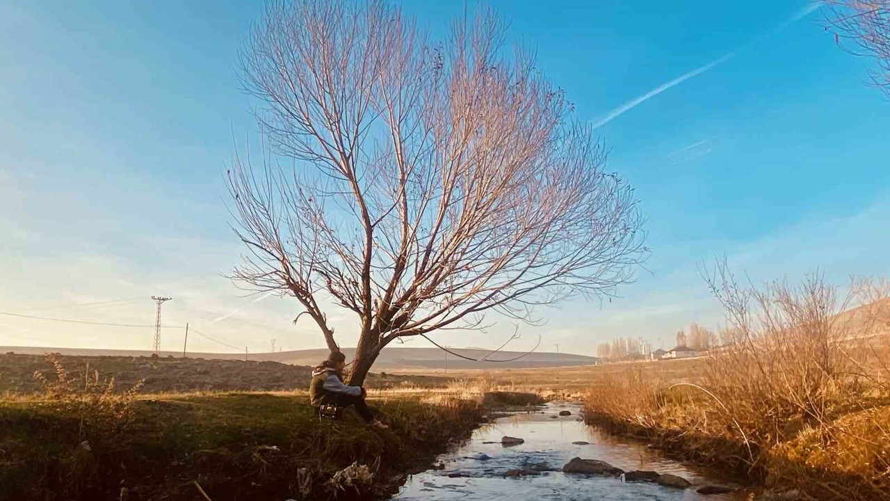 Sonbaharda sararan yapraklar görsel şölen oluşturdu
