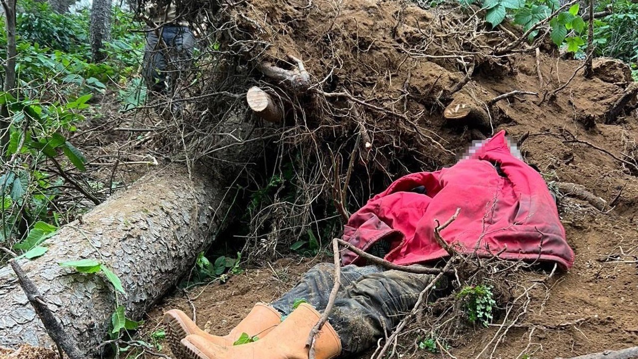 Kestiği ağacın altında kalan bir kişi hayatını kaybetti
